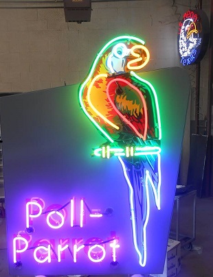poll-parrot.jpg
